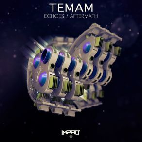 Download track Echoes Temam