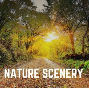 Download track Soundscapes Of Nature Melodies, Pt. 26 Nature Soundscapes