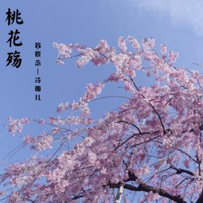 Download track 桃花殇 冷雨儿