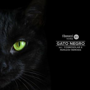 Download track Gato Negro (Original Mix) Jay Perlestein