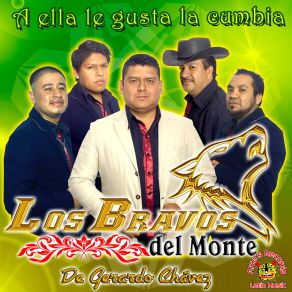 Download track La Danza De Los Shitases Los Bravos Del Monte De Gerardo Chavez