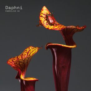 Download track The Truth Daphni