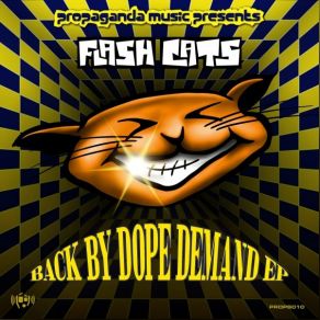 Download track Hurt You So (Original Mix) Flash Cats