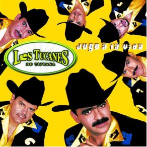 Download track Quiero Que Seamos Novios (Country) Los Tucanes De Tijuana