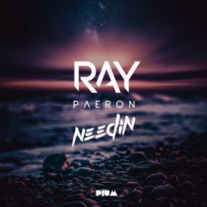 Download track Needin (Original Mix) Ray Paeron