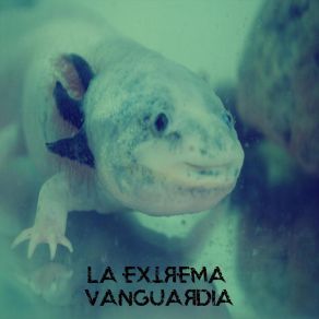 Download track Los Encorvaditos La Extrema Vanguardia