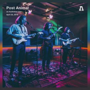 Download track Gelatin Mode (Audiotree Live Version) Post Animal