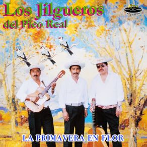 Download track La Primavera En Flor Los Jilgueros Del Pico Real