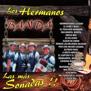 Download track Elpidio Paso Los Hermanos Banda