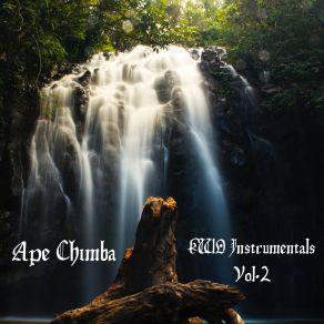 Download track Bageera (Instrumental) Ape ChimbaΟΡΓΑΝΙΚΟ