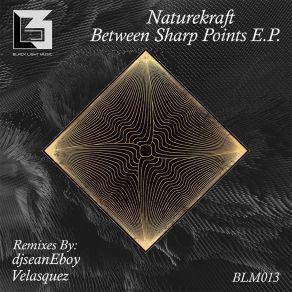 Download track Between Sharp Points (Velasquez Remix) NaturekraftVelásquez