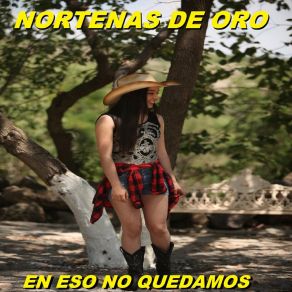 Download track En Eso No Quedamos Nortenas De Oro