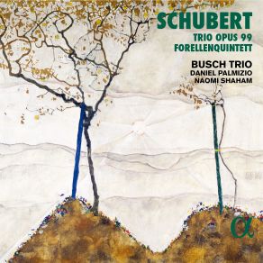 Download track Schubert Piano Trio In B-Flat Major, Op. 99, D. 898 IV. Rondo. Allegro Vivace Busch Trio, Daniel Palmizio, Naomi Shaham