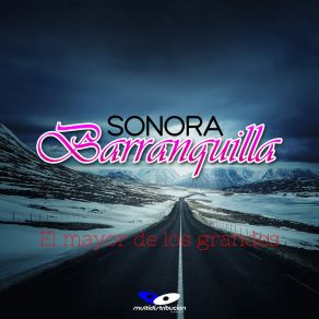 Download track Flor De Caña Sonora Barranquilla 96