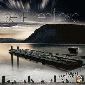 Download track Bir Gece Seyfi Yerlikaya