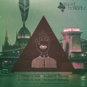 Download track Budapest Evening Kellee, Juha