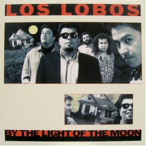 Download track River Of Fools Los Lobos, T - Bone Burnett