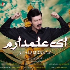 Download track Girya Haye Zainab Ali Imran Naushad