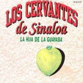 Download track Me Persigue Tu Sombra Los Cervantes De Sinaloa