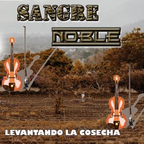 Download track Nido De Amor Sangre Noble