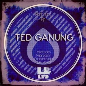 Download track Magnetism (Original Mix) Ted Ganung