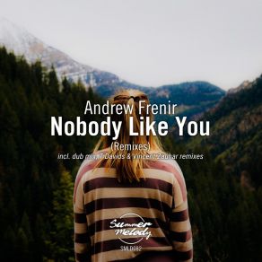 Download track Nobody Like You (T Davids Remix) Andrew FrenirT Davids