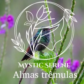 Download track Noite Da Coruja Mystic Serene