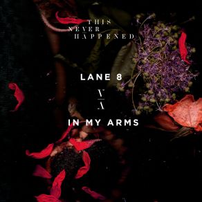 Download track In My Arms (Extended Mix) Lane 8