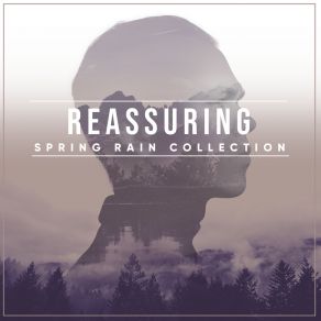 Download track Rain Sound: Summer Rain Showers The Relaxing Sounds Of Swedish Nature