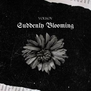 Download track Suddenly Blooming (Radio Edit) Volkov