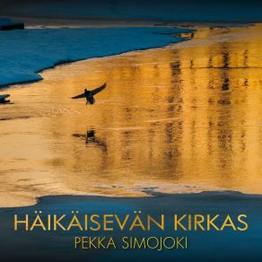 Download track Häikäisevän Kirkas Pekka Simojoki