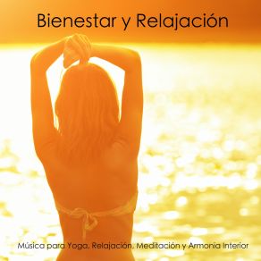 Download track Bienestar Y Relajación Músicas Relajantes