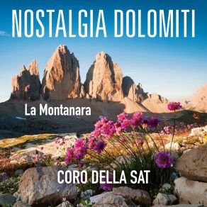 Download track La Bella Al Mulino (Live) Coro Della Sat