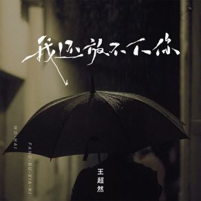 Download track 我还放不下你 (伴奏) 王超然