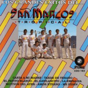 Download track Viviendo Tu Recuerdo San Marcos Tropical