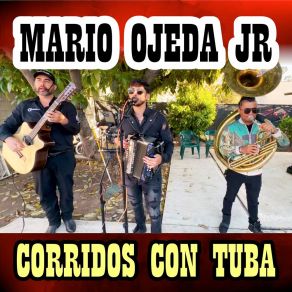 Download track Laurita Garza MARIO OJEDA JR