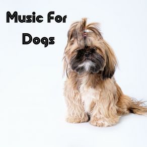 Download track Pet Therapy Music Calm Pets Music Academy