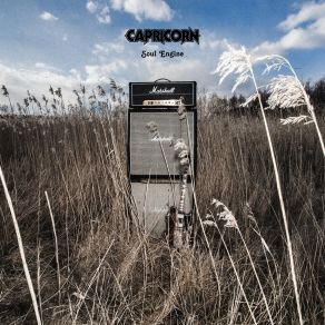 Download track Desolation Times Capricorn