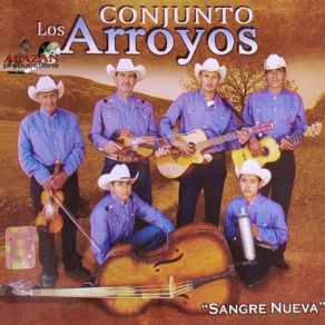 Download track Sin Sangre En Las Venas Conjunto Los Arroyos