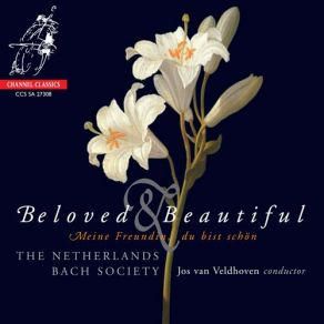 Download track Georg BÃ¶hm: Mein Freund Ist Mein The Netherlands Bach Society, Jos Van Veldhoven