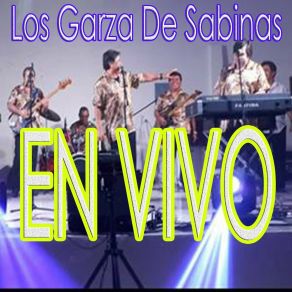 Download track La Viña (En Vivo) Los Garza De Sabinas