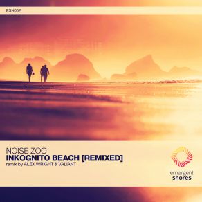 Download track Inkognito Beach (Original Mix) Noise Zoo