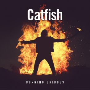 Download track Break Me Down Catfish