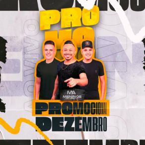 Download track Passaro Noturno Meninos Do Agito