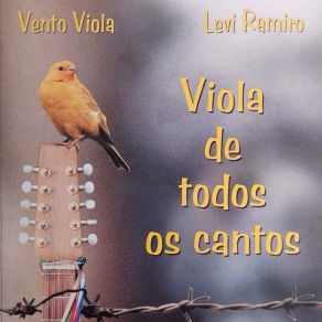 Download track Tema Do Cerrado Vento Viola