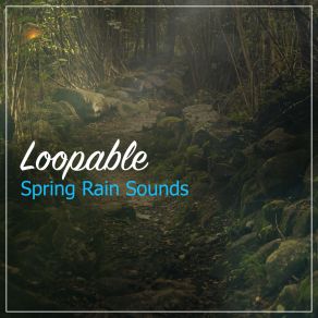 Download track Rain For Bedtime Yoga Rain