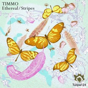 Download track Stripes Timmo