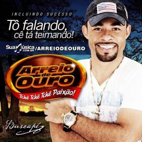 Download track Gordinho Saliente Arreio De Ouro