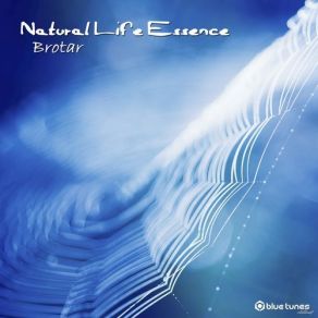 Download track Green Hills, Pt. 2 (Midnight Walk) Natural Life Essence