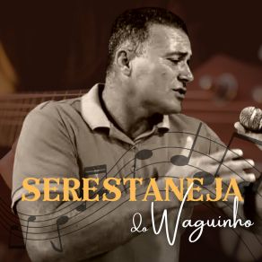 Download track Gostoso Sentimento Wagner Valença